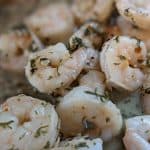 Shrimp Scampi cooked close-up