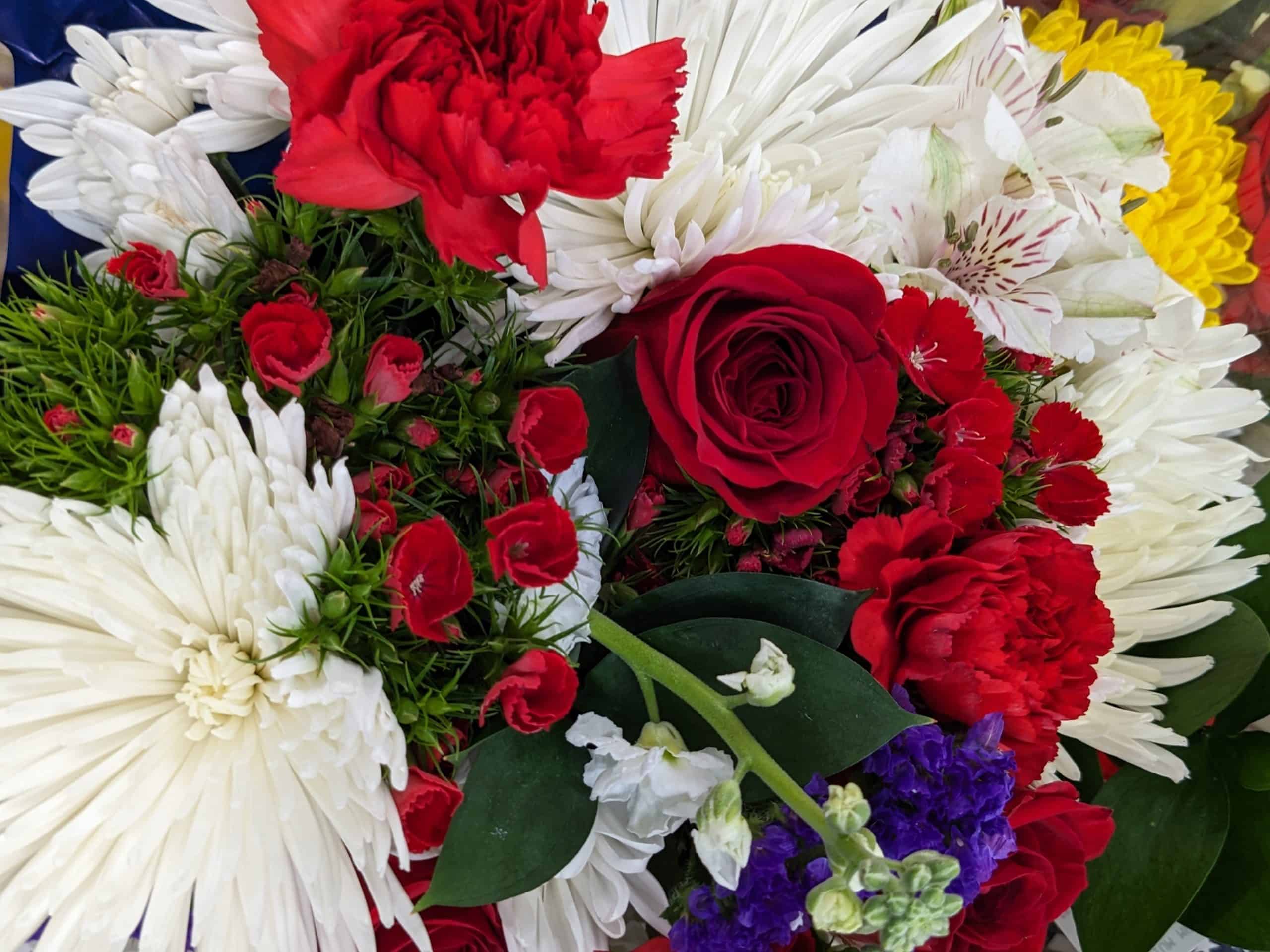 Red, white, and blue flowers