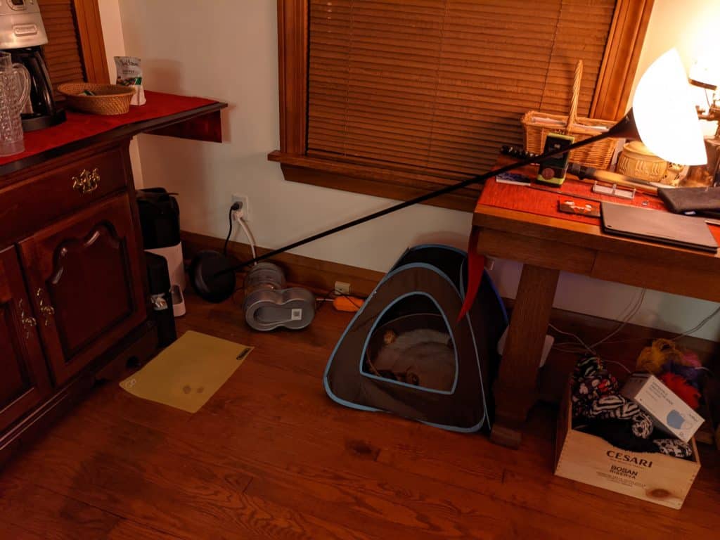 Knocked over lamp and cat feeder