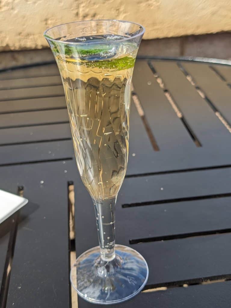 Elderflower Liqueur Cocktail in a plastic champagne flute garnished with a mint leaf