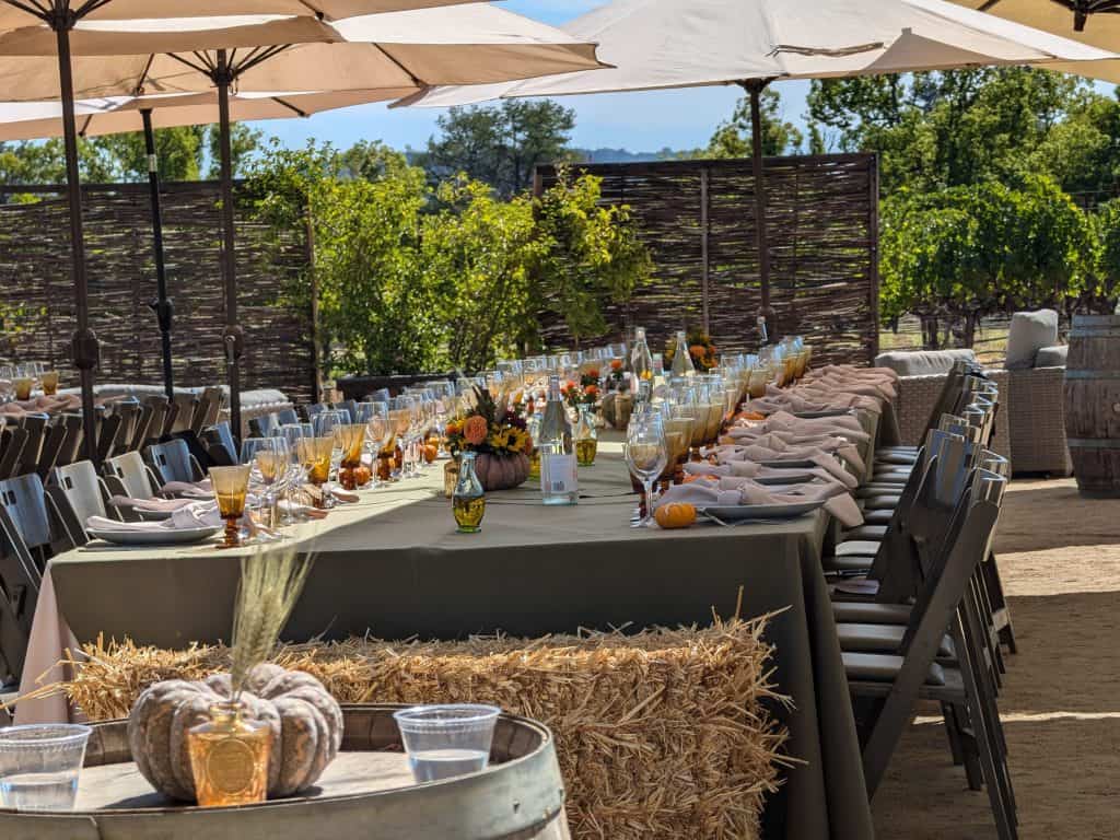 Large table set for a dinner party in a vineyard